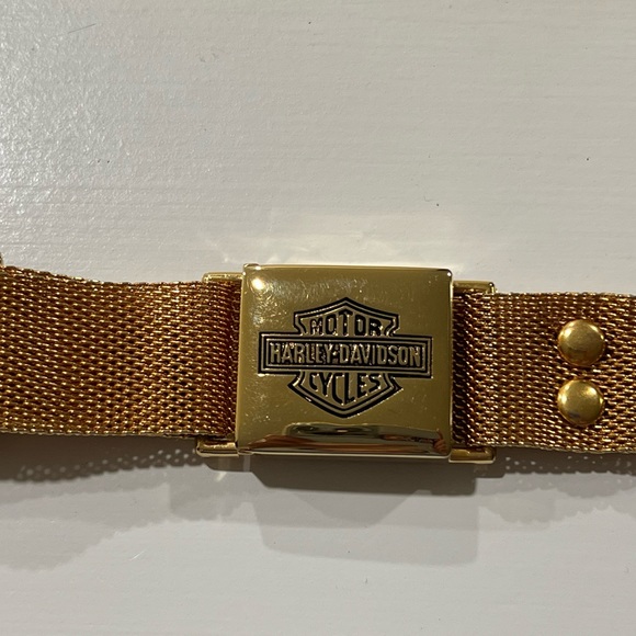 Gorgeous Harley Davidson belt - Picture 8 of 10